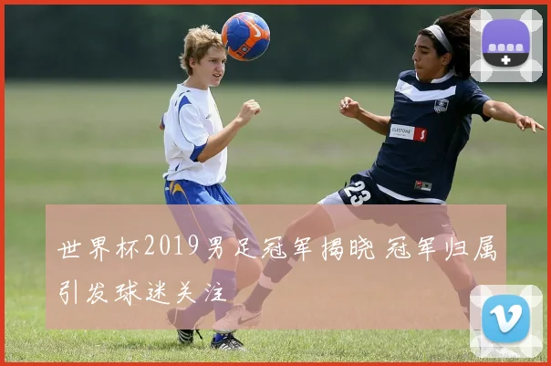 世界杯2019男足冠军揭晓 冠军归属引发球迷关注